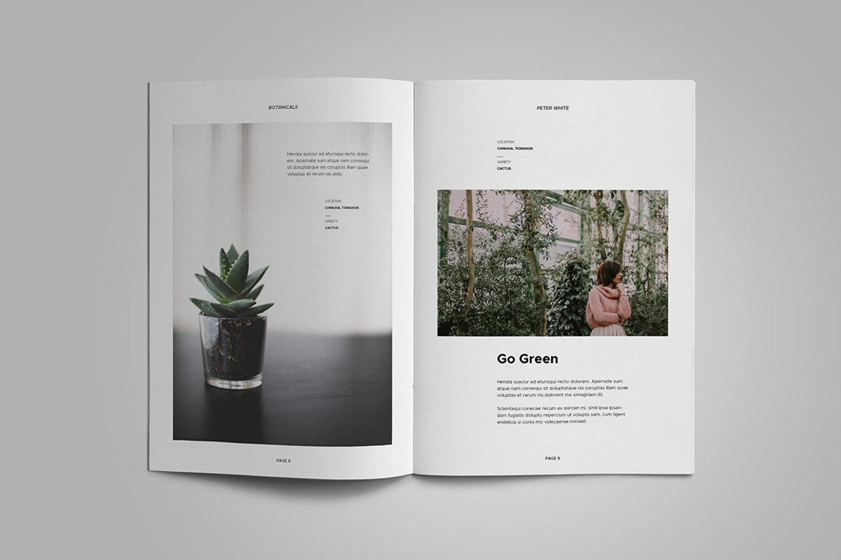 A5 Portfolio, a Brochure Template by Meenom Templates (Photo 5 of 17)