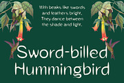 CS Bonita Drawn, a Sans Serif Font by Craft Supply Co. (Thumbnail 4 of 8)