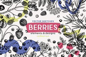 Berries Vector Illustrations.