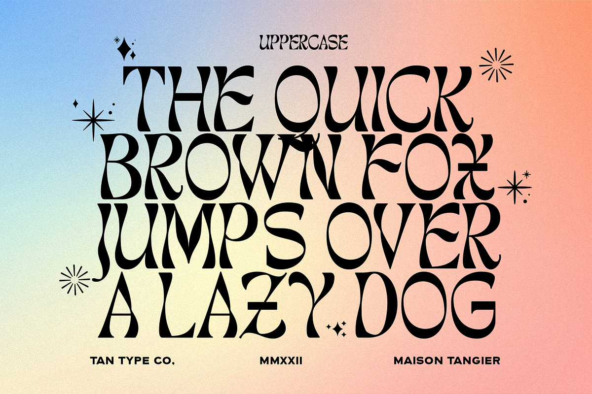 TAN - MAISON TANGIER, a Serif Font by TanType (Photo 5 of 9)