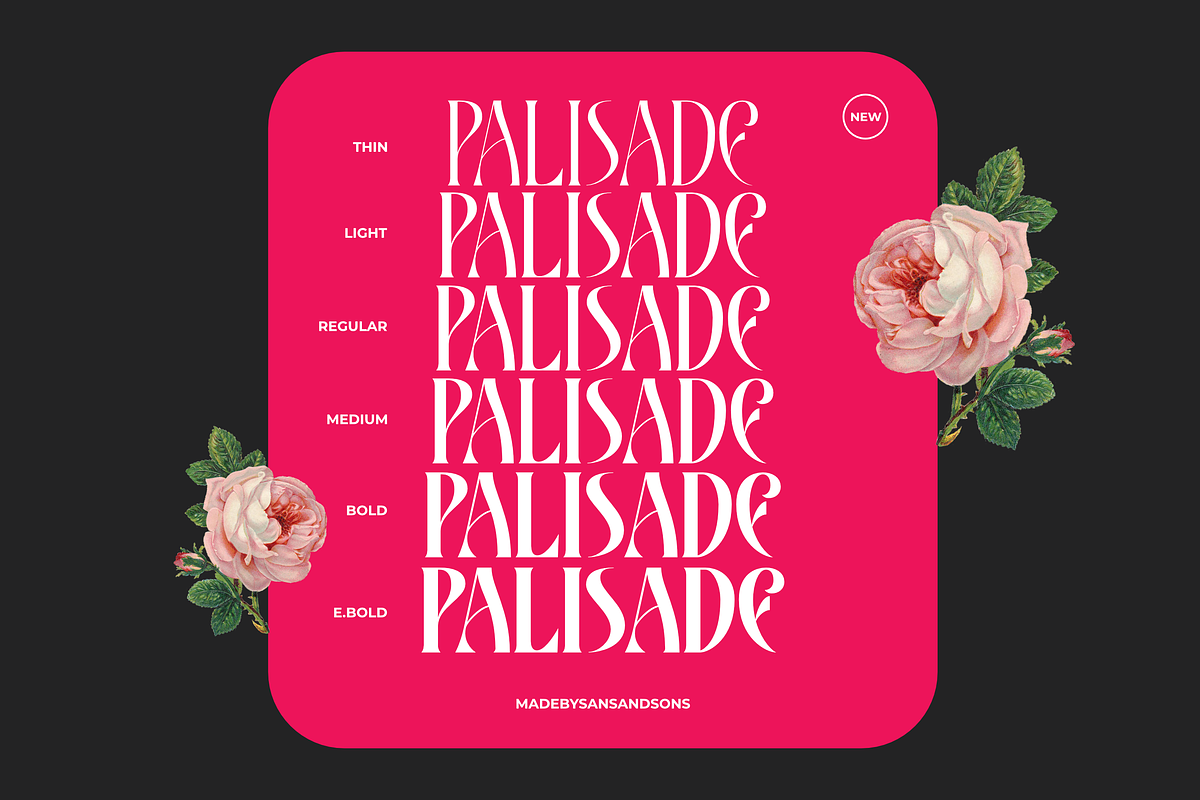 Hello Palisade Family, a Serif Font by Sans & Sons (Photo 1 of 10)