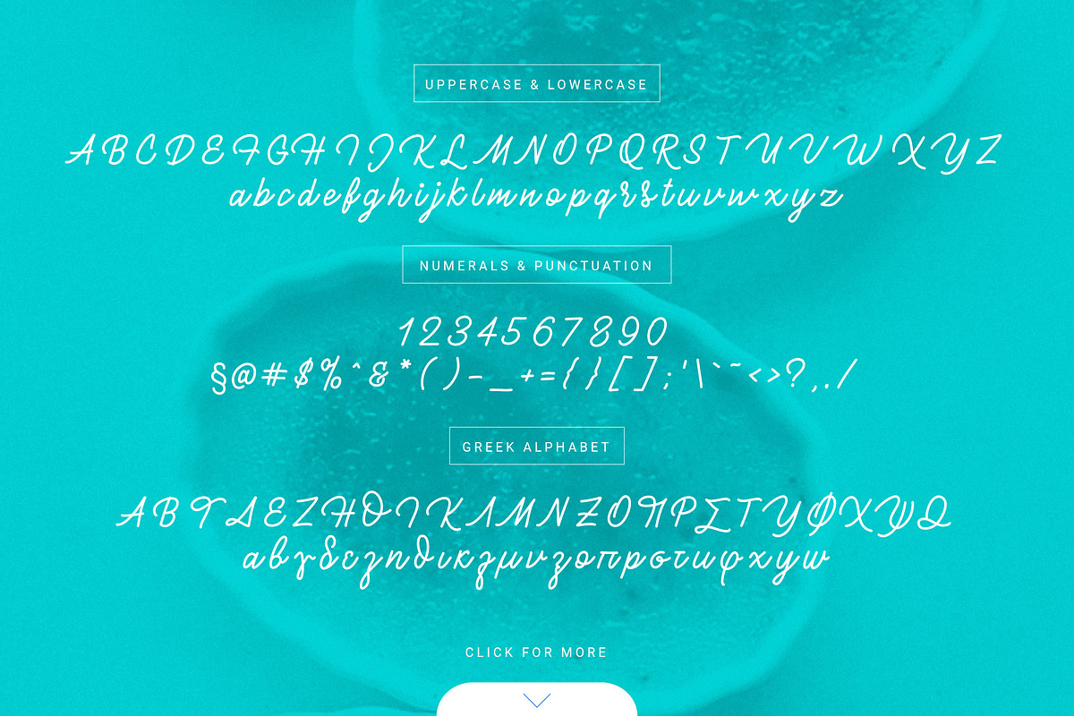 Brulée Monoline Script preview 3