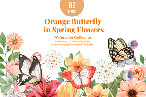 Orange Butterfly In Spring Flowers