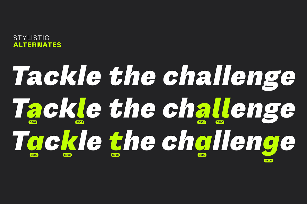 Gintona Sans, a Font by Sudtipos (Photo 8 of 11)