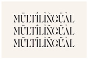 Arina Ligature Serif Typeface, a Serif Font by yaqublekker (Thumbnail 8 of 9)