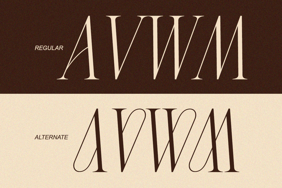 Charnoir - Modern Elegant Luxury, a Serif Font by Qweera Studio (Photo 7 of 12)