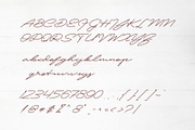 Patton Delicate Signature Typeface, a Script Font by takoliko (Thumbnail 9 of 11)
