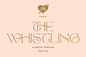 TAN - The Whistling, a Serif Font by TanType