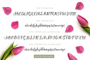 Tulip Garden Script., a Script Font by Red Ink (Thumbnail 4 of 9)