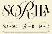 Dh Alista Aghni - 7 Serif Family, a Serif Font by Dharmas Foundry (Thumbnail 3 of 16)