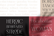 Borest - Elegant Roman Sans Serif, a Sans Serif Font by Flavortype (Thumbnail 17 of 21)