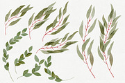 25 Eucalyptus Branches, an Illustration by Helga Wigandt (Thumbnail 3 of 5)