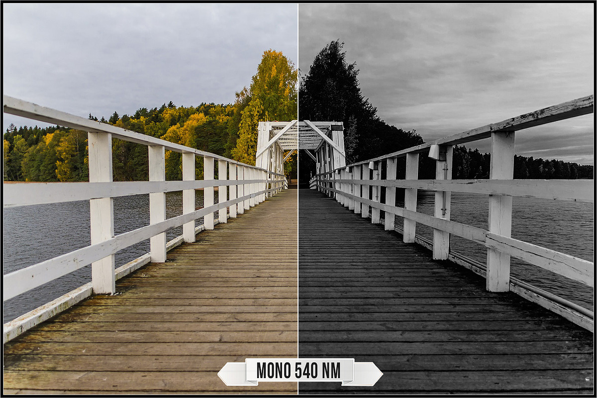 Spectrum Black & White profiles LUTs, a Plug-in Add-On by Raztrend (Photo 18 of 31)