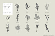 Fresh Herbs Line Drawings & Patterns, an Illustration by kittyShark Creative (Thumbnail 4 of 9)