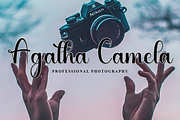 Story Beauty, a Handwritten Font by FreshTypeINK (Thumbnail 5 of 8)