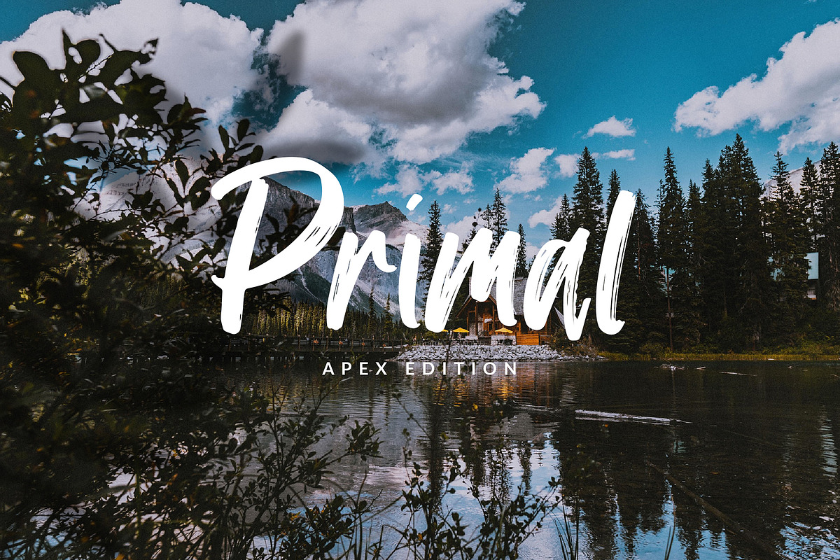 Wakeling Brush Font preview 8
