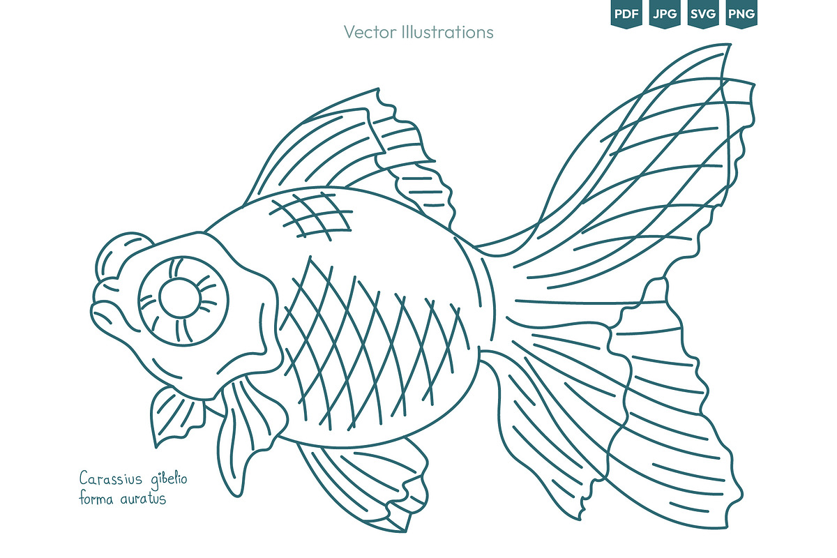 Seafood & Fish Vector Pack, an Animal Illustration by Ilia Design (Photo 6 of 10)