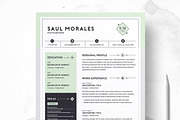 Resume/CV Bundle | 200+ for $29, a Resume Template by ResumeInventor (Thumbnail 37 of 207)