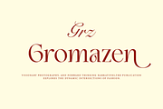 Champles A Modern Serif Typeface, a Serif Font by Comactype Foundry (Thumbnail 11 of 20)