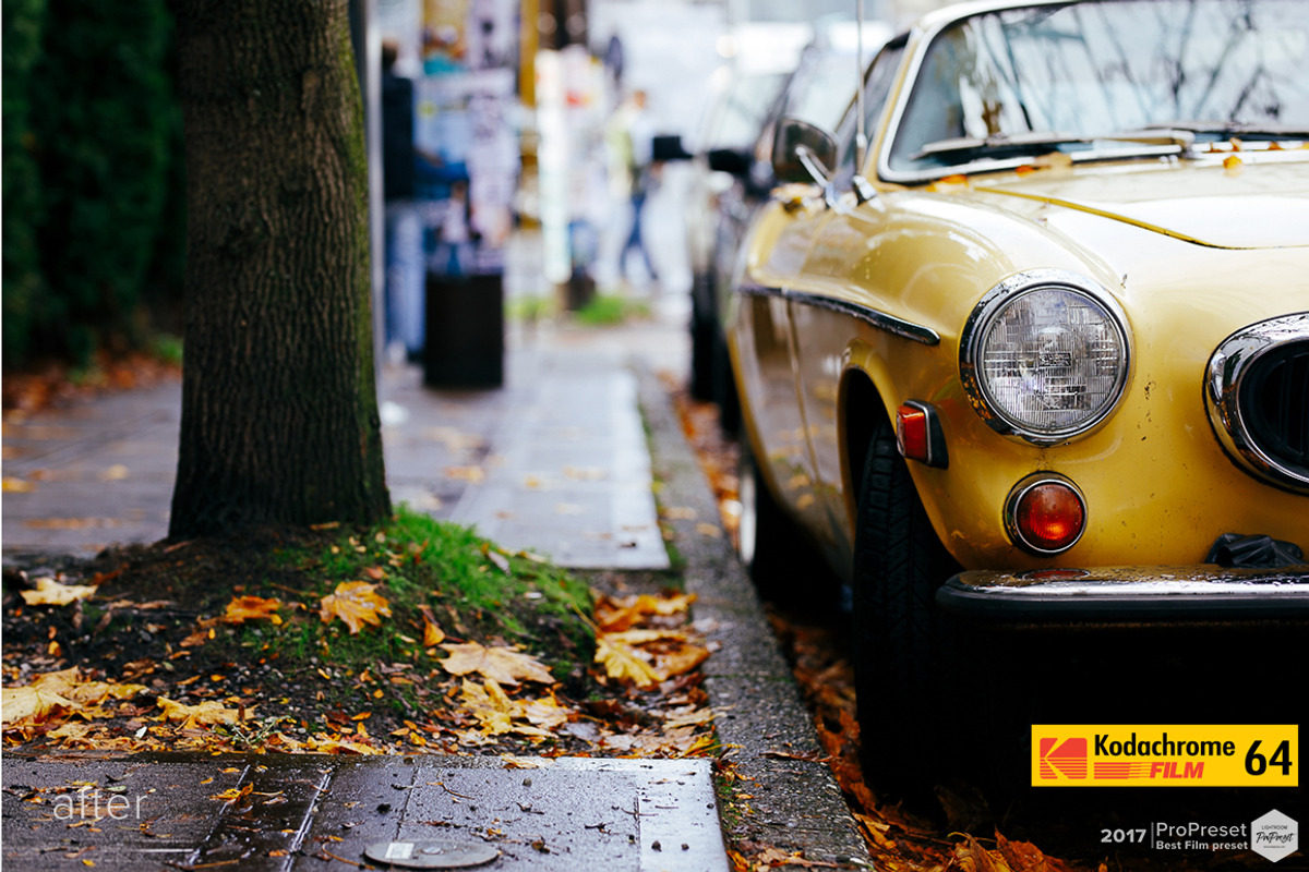 Kodachrome 64 preset Lightroom, an Action Add-On by ProPreset (Photo 9 of 9)