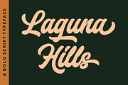 Laguna Hills Font, a Script Font by RedyStudio (Thumbnail 1 of 12)
