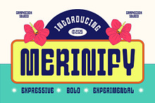 Merinify