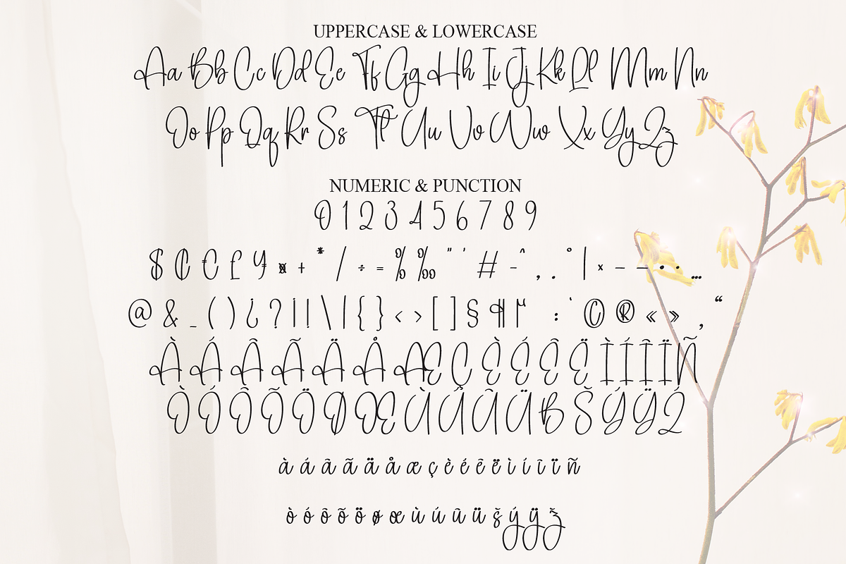 Baby Anything | Script Font, a Handwritten Font by Scratchones (Photo 7 of 8)