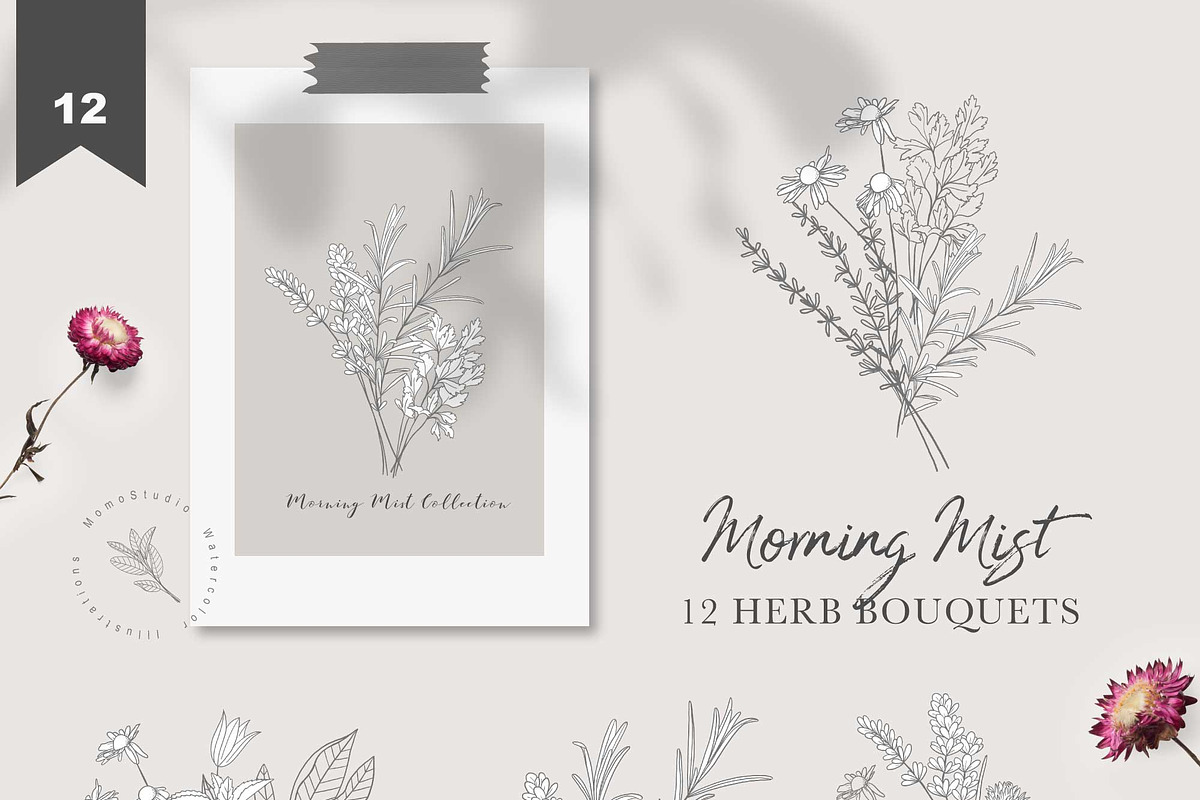 Morning Mist - Herb Collection, a Decorative Illustration by Momo Studio (Photo 3 of 18)