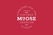 Woodman Slab Serif Font, a Slab Serif Font by Graphicdome (Thumbnail 7 of 14)