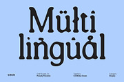 CS Melisa Drawn, a Serif Font by Craft Supply Co. (Thumbnail 6 of 8)