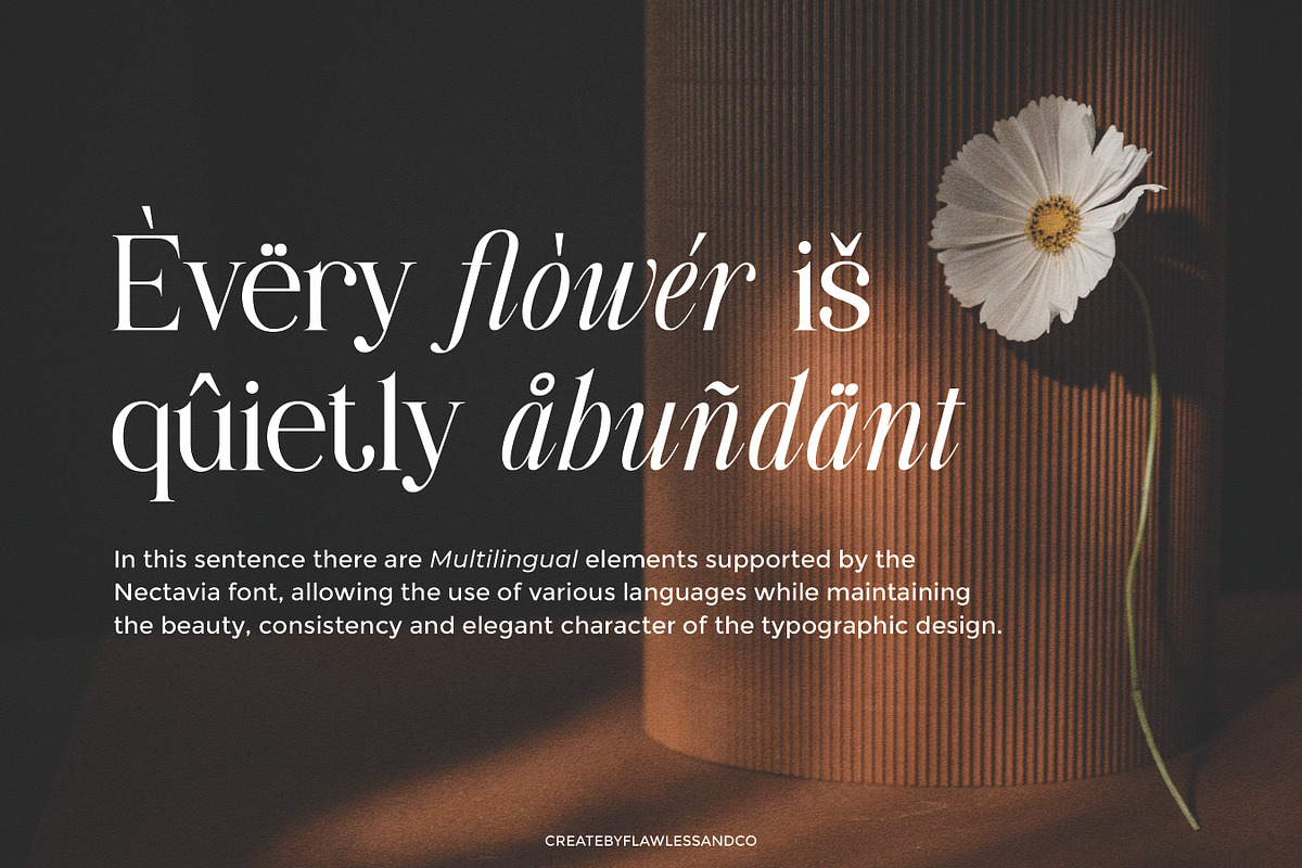 Nectavia - Display Serif Font, a Serif Font by Flawless And Co (Photo 5 of 10)