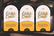 Awakening Gallop Modern Brush Font, a Script Font by stylishtype.co (Thumbnail 7 of 20)