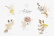Wildflower fall watercolor clipart, a Decorative Illustration by ReachDreams (Thumbnail 3 of 10)