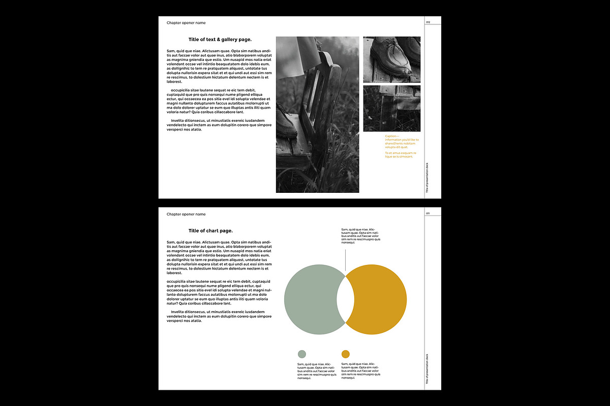 Presentation Template for InDesign preview 5