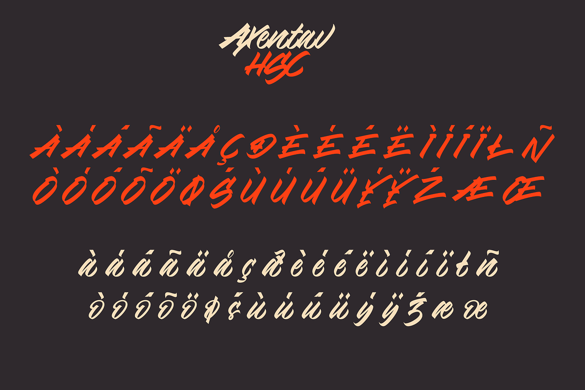 Axentav HSC, a Script Font by ilhamtaro (Photo 10 of 11)