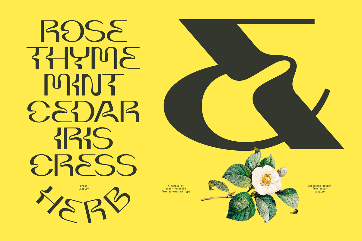 Briar - Fluid Variable Typeface, a Sans Serif Font by Barrett Reid-Maroney (Photo 9 of 10)