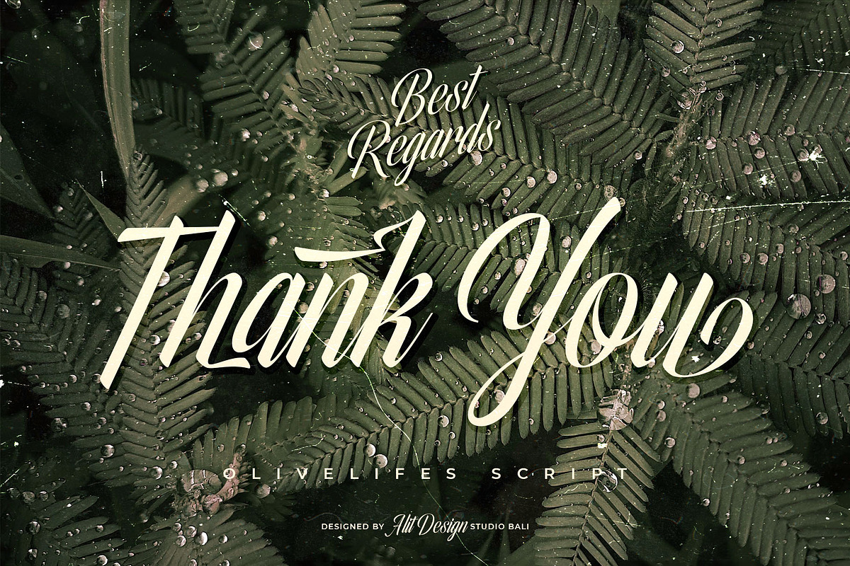 Olivelifes Script Font, a Script Font by alit design (Photo 15 of 15)