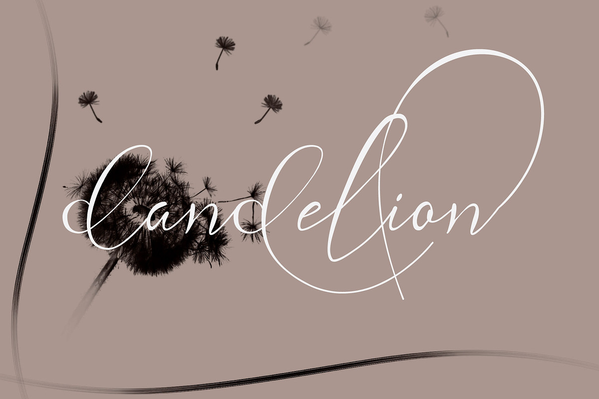 Andora Ardelion - copperplate font, a Script Font by Gittype (Photo 10 of 11)