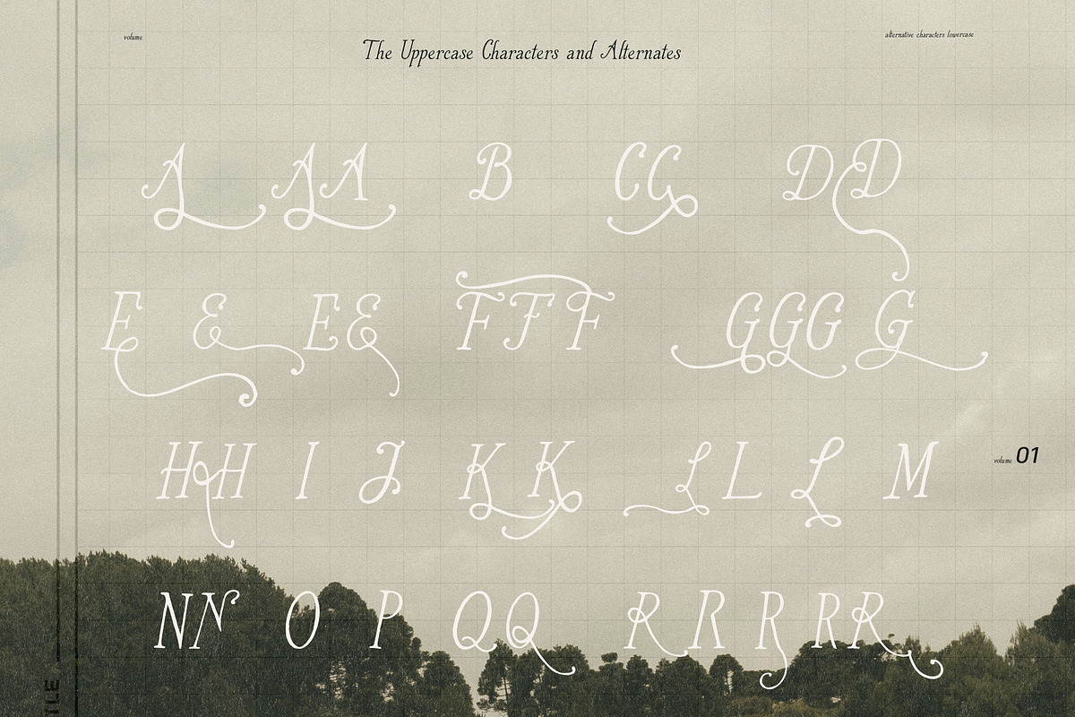 Whimsical Handwritten Serif Font Duo, a Handwritten Font by Laras Wonderland (Photo 6 of 15)