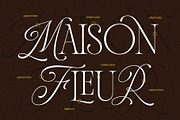 Andiena Bielsa - Hybrid Serif, a Serif Font by Arterfak Project (Thumbnail 9 of 12)