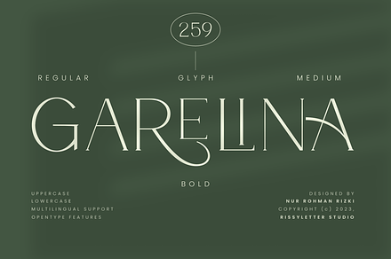 Garelina | Modern Serif Font