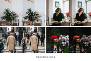 Peaceful Lightroom Presets Mobile, a Preset Add-On by VEER (Thumbnail 11 of 14)