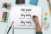 Stay Wildy, a Script Font by Dikas Studio (Thumbnail 7 of 9)
