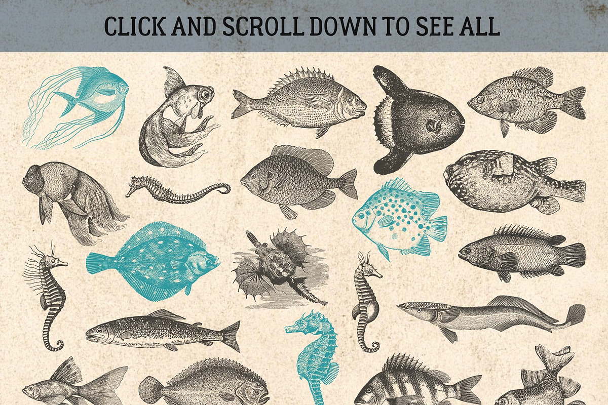 87% OFF Vintage Bundle - Free Update, an Animal Illustration by Brigantine Designs (Photo 10 of 21)