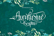 Aventurine Script, a Script Font by Font Bundles (Thumbnail 1 of 7)