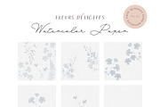 Watercolor floral fine art paper, a Texture Graphic by Anna Sokol (Thumbnail 12 of 18)