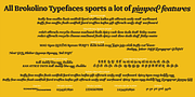 Brokolino Text, a Slab Serif Font by Aspro Type (Thumbnail 11 of 14)
