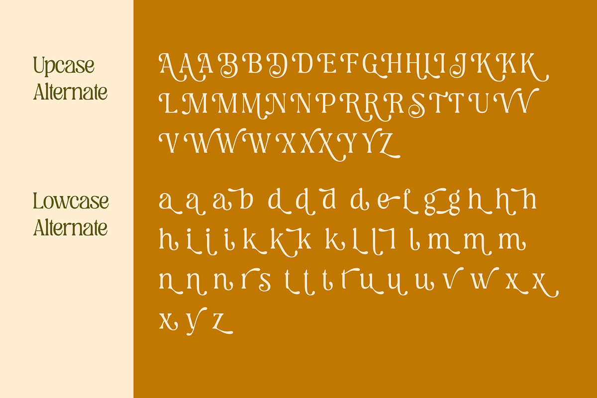 Regus Display - 90's Serif Family, a Serif Font by Holyline Design (Photo 13 of 15)