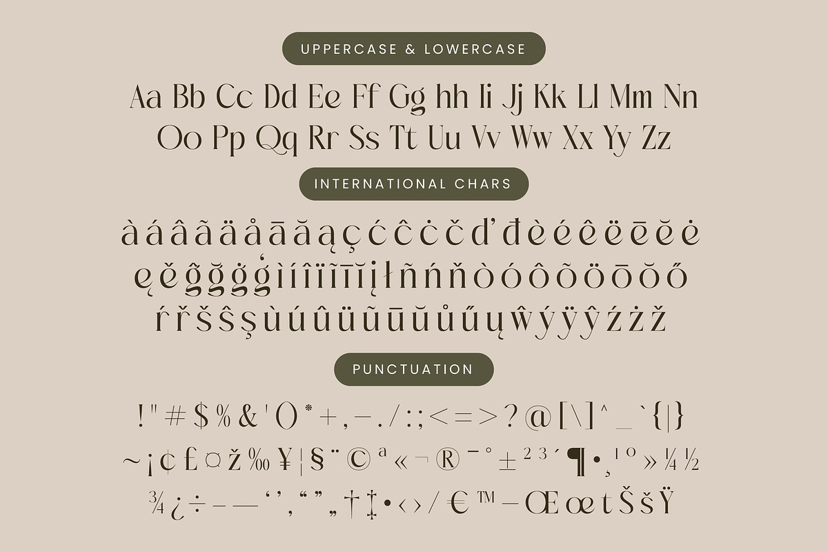 Mezaira Modern Serif Font, a Serif Font by timelesstype.co (Photo 18 of 20)