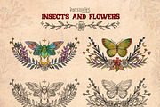 Insects and Flowers, an Animal Illustration by Ink Stories (Thumbnail 11 of 15)